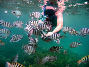 Blue Bay Marine Park Mauritius